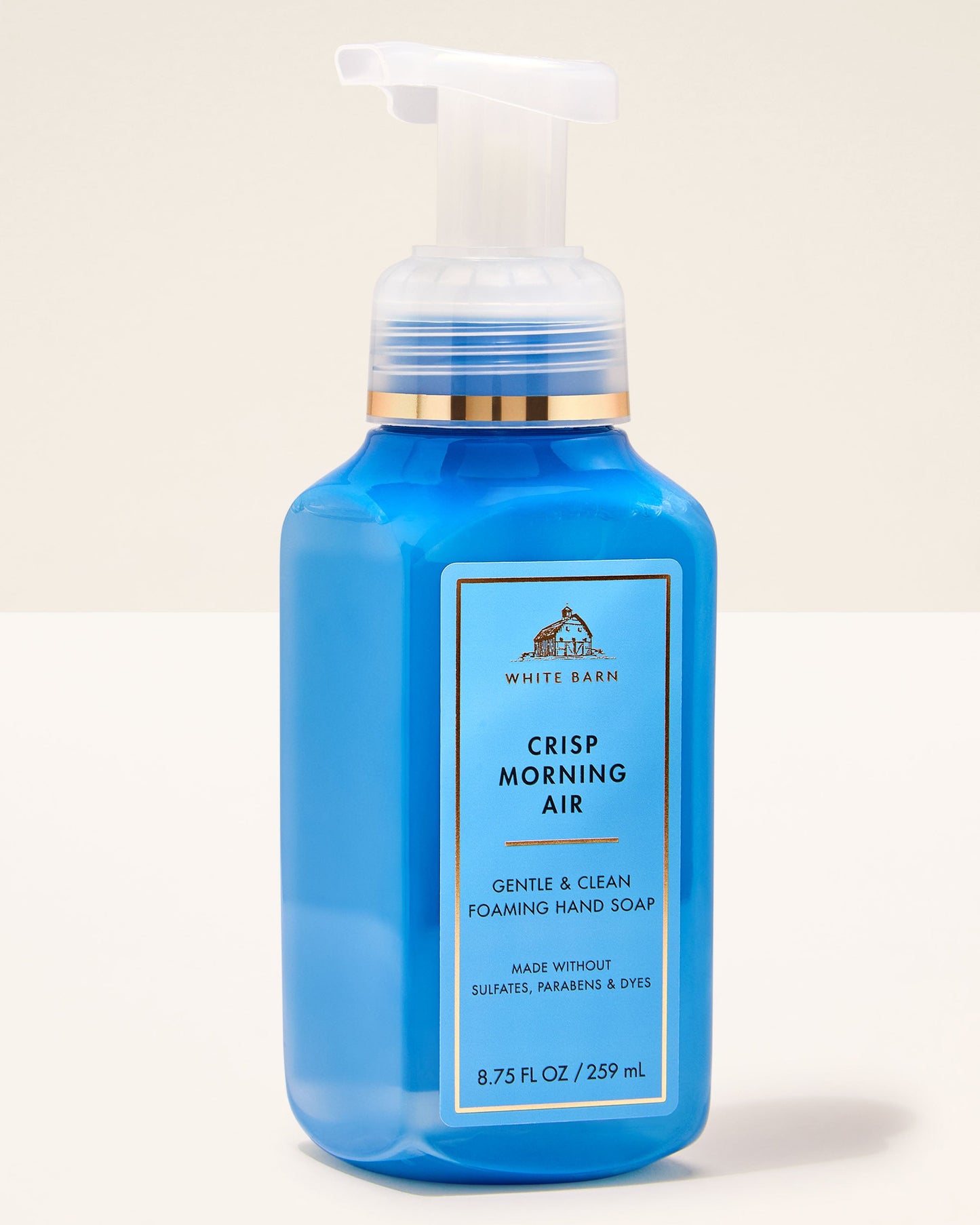 Crisp morning air foaming hand soap