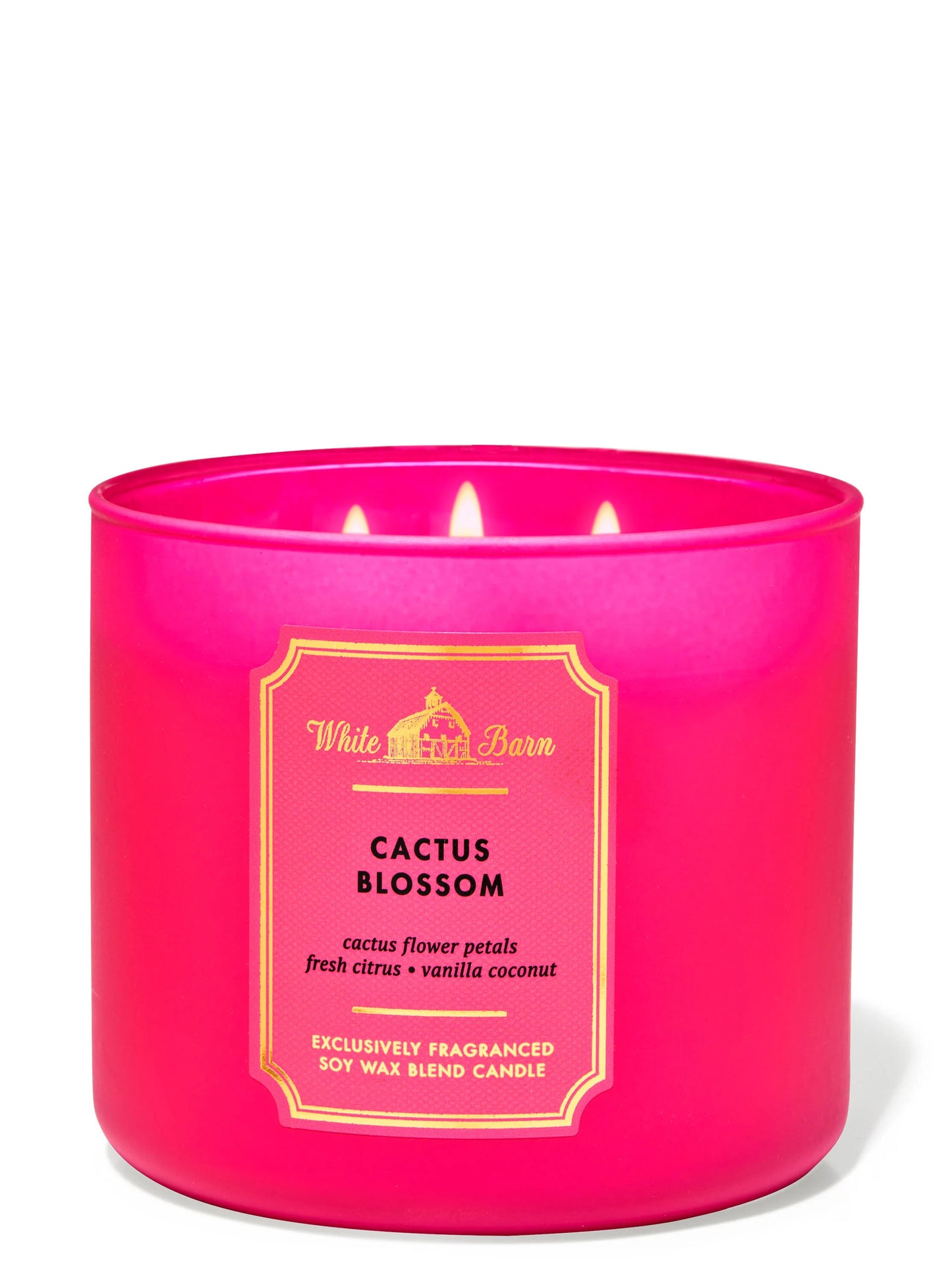 Cactus blossom 3 wick candle