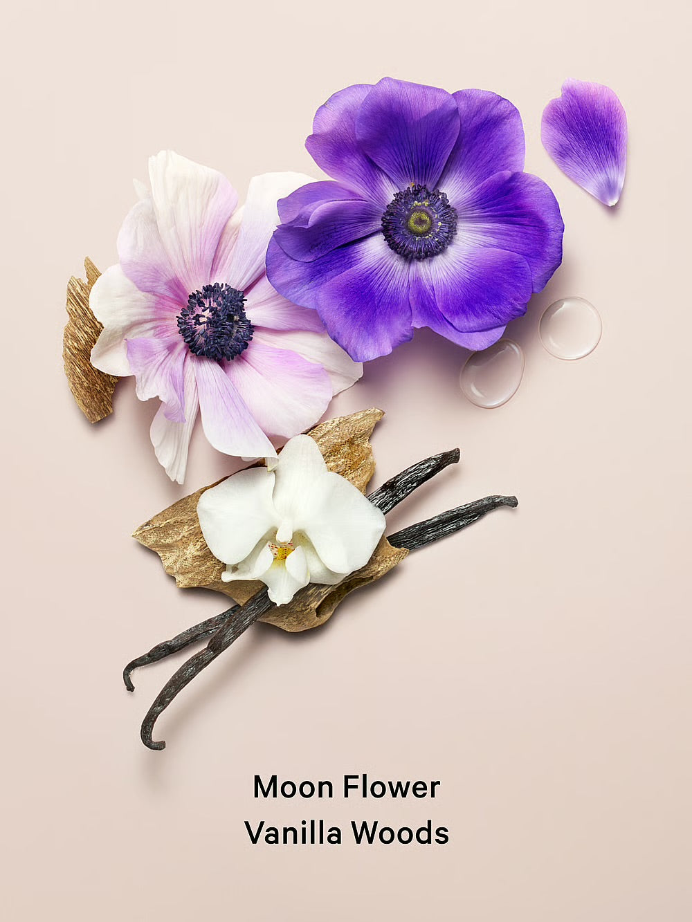 Victorias secret midnight bloom body mist